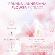 Sakura Skincare Essentials Set - Travel or Gift Pack