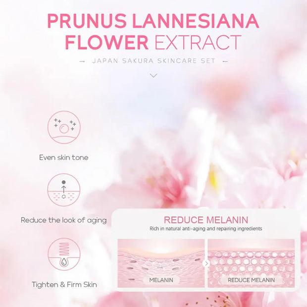 Sakura Skincare Essentials Set - Travel or Gift Pack